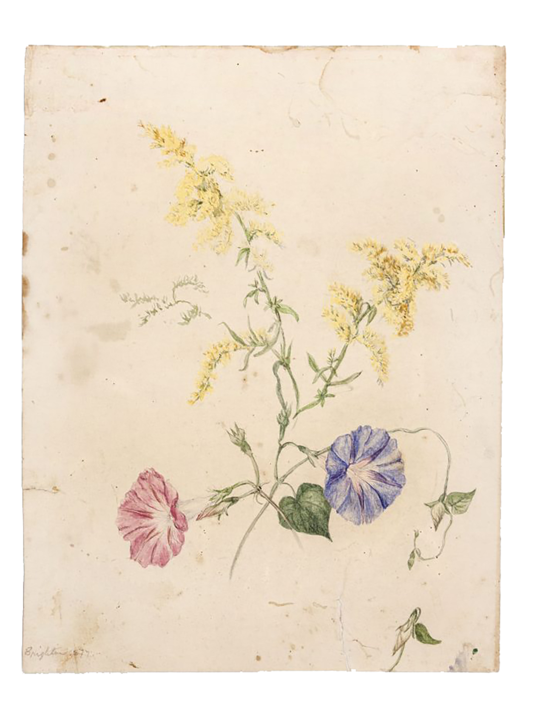Emily Cole, Untitled, n.d., watercolor and pencil on paper, 7 5/16″ x 10 5/16″. Courtesy of Thomas Cole National Historic Site, Catskill, NY, Gift of Edith Cole Silberstein