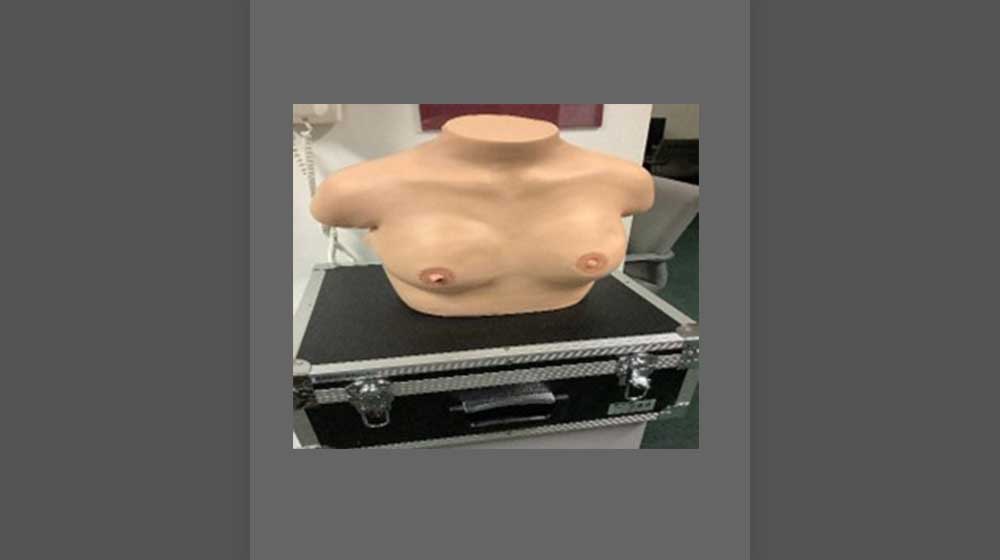 Koken Inspection and Palpation of Breast Cancer Training Model Koken Inspection and Palpation of Breast Cancer Training Model