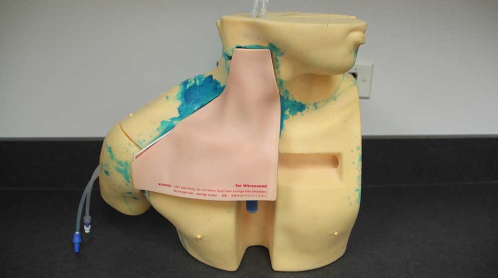 Kyoto Central Venous Catheter Insertion Simulator Kyoto Central Venous Catheter Insertion Simulator