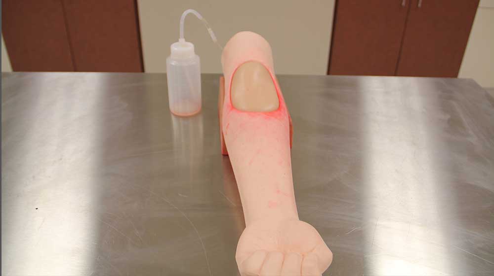 Kyoto Intravenous Training Arm Kyoto Intravenous Training Arm