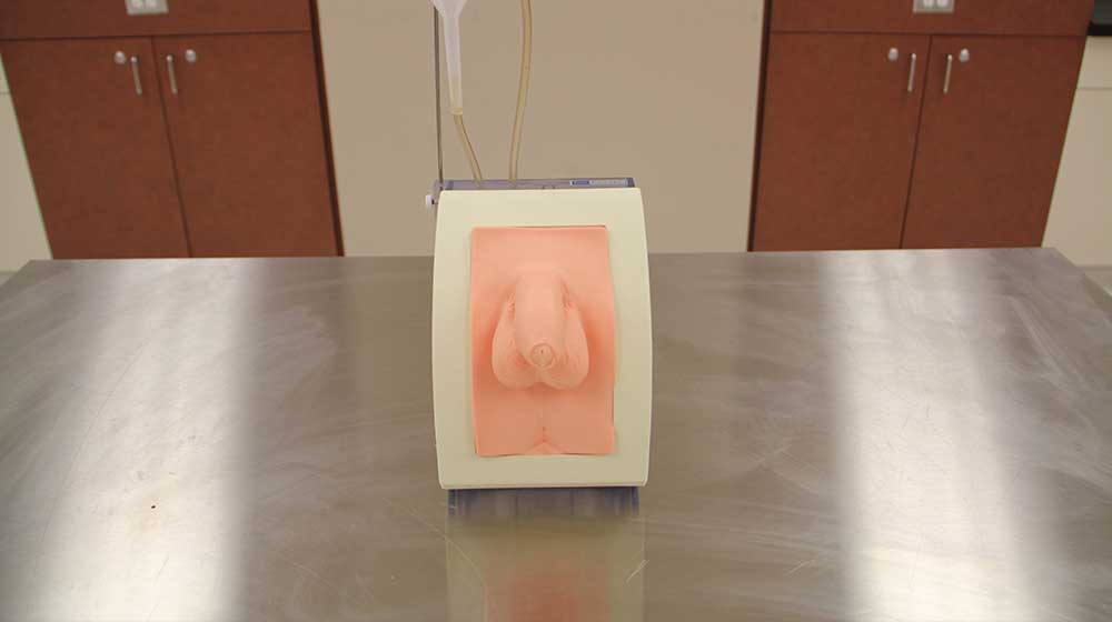 Kyoto and Nasco Male Catheterization Simulator Kyoto and Nasco Male Catheterization Simulator