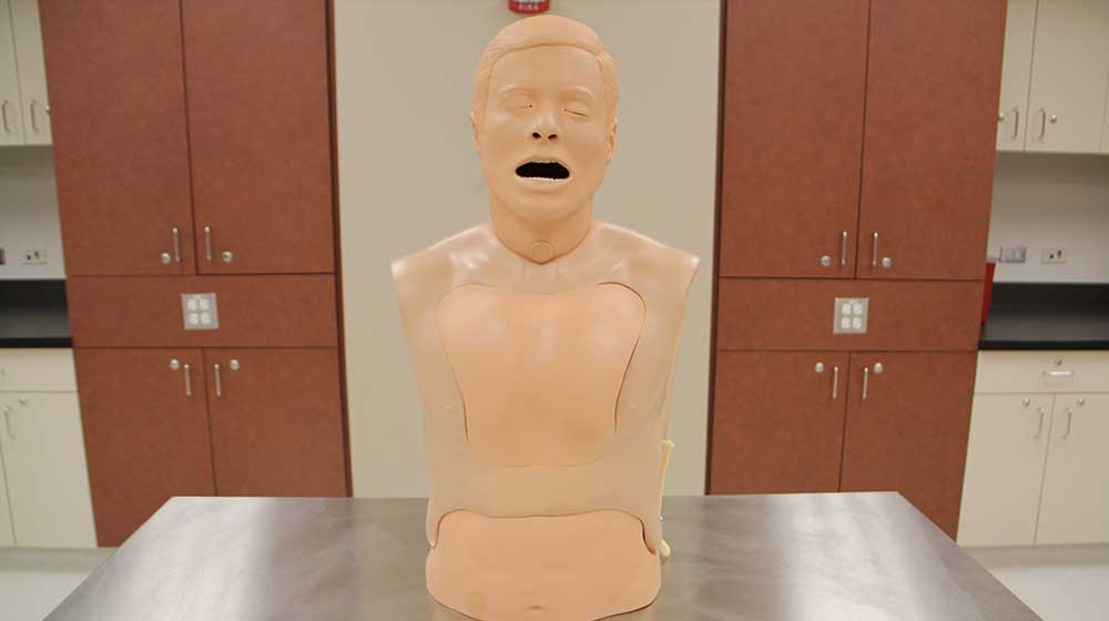 Laerdal NG Tube and Trach Care Trainer Laerdal NG Tube and Trach Care Trainer
