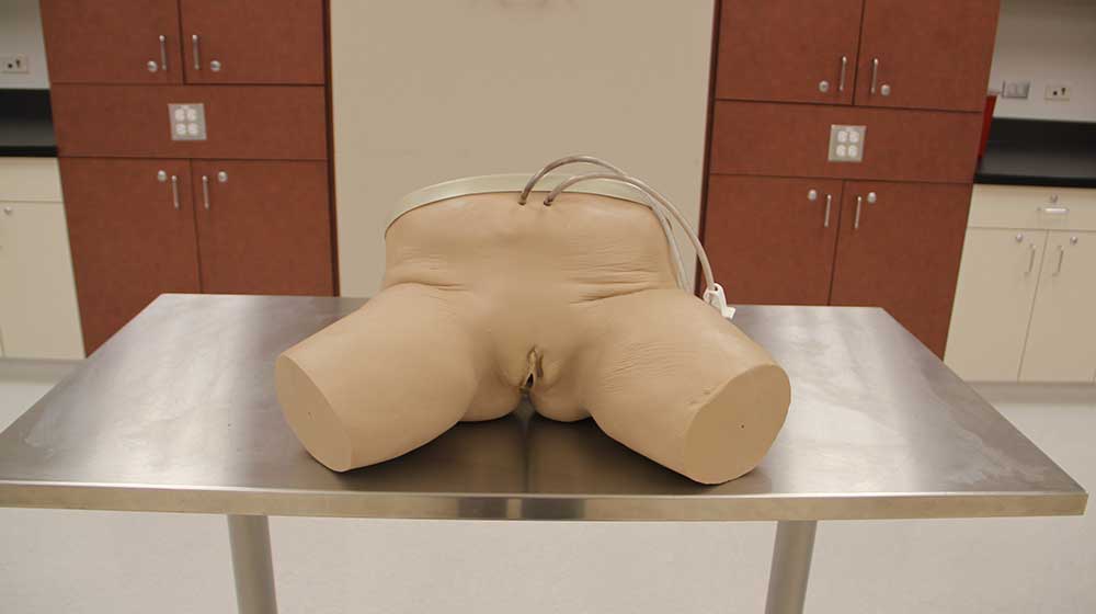 Life/form (Nasco) Female Catheterization Simulator Life/form (Nasco) Female Catheterization Simulator
