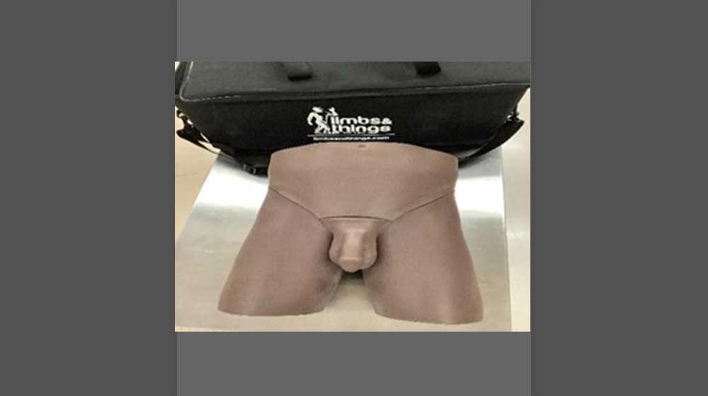 Limbs and Things Clinical Male Pelvic Trainer Limbs and Things Clinical Male Pelvic Trainer