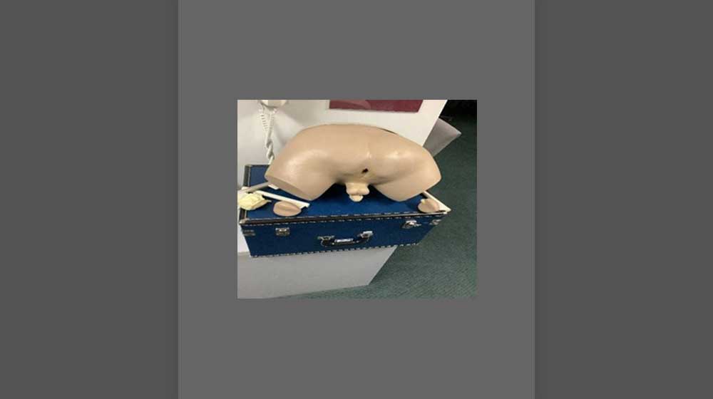 Nasco/Lifeform Prostate Examination Simulator Nasco/Lifeform Prostate Examination Simulator