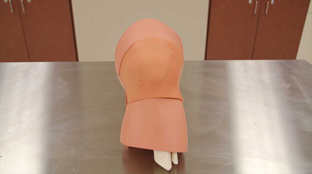Simulab Ultrasound Arthrocentesis Simulab Ultrasound Arthrocentesis