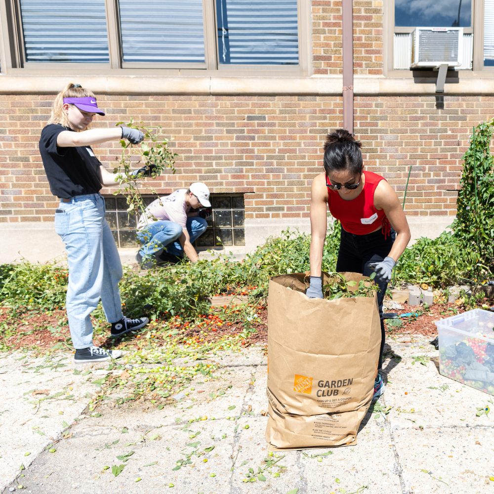 Students clearing weeds outside of the Quinn Center