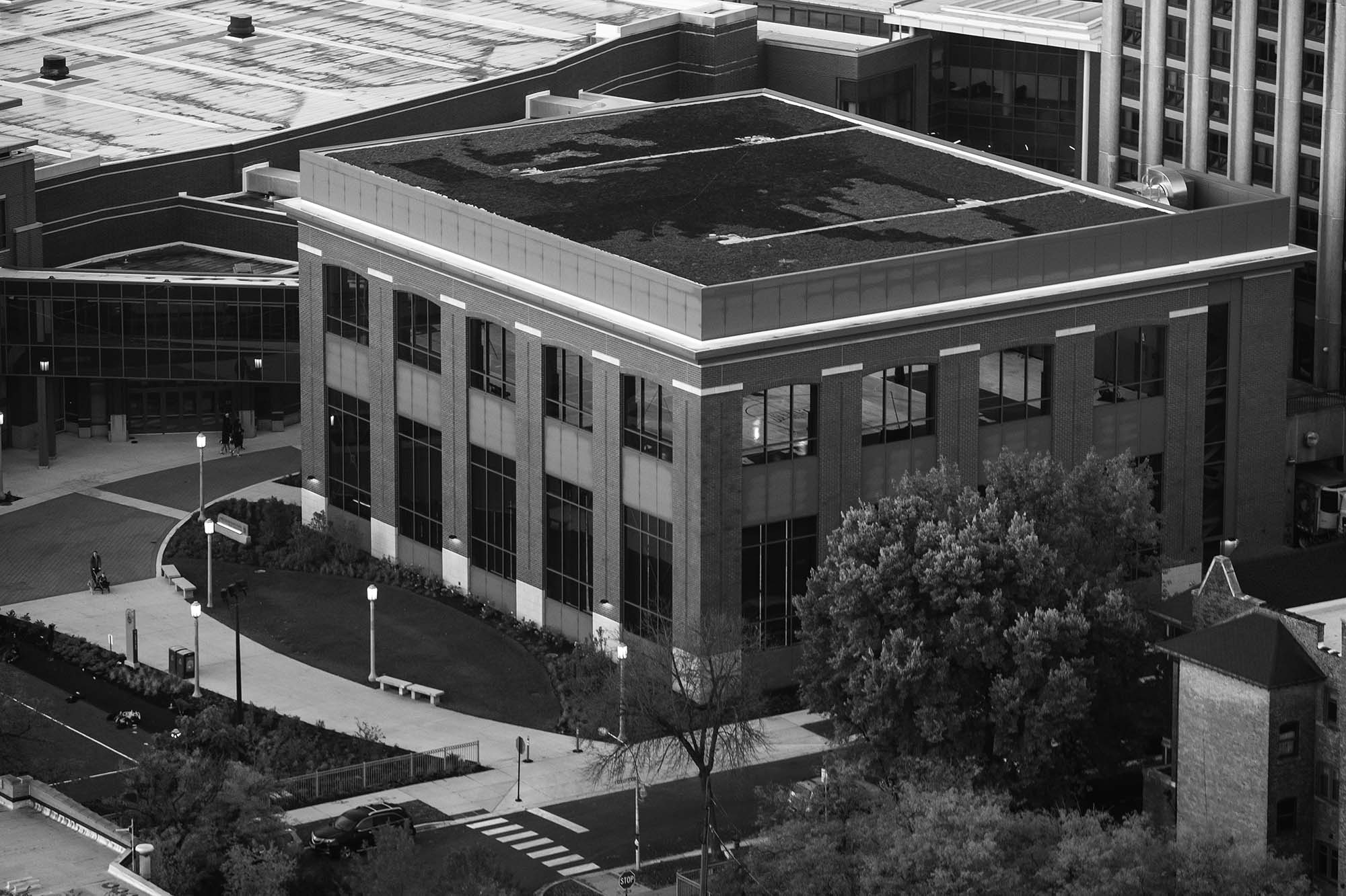 Aerial view of the Alfie Norville practice facilities