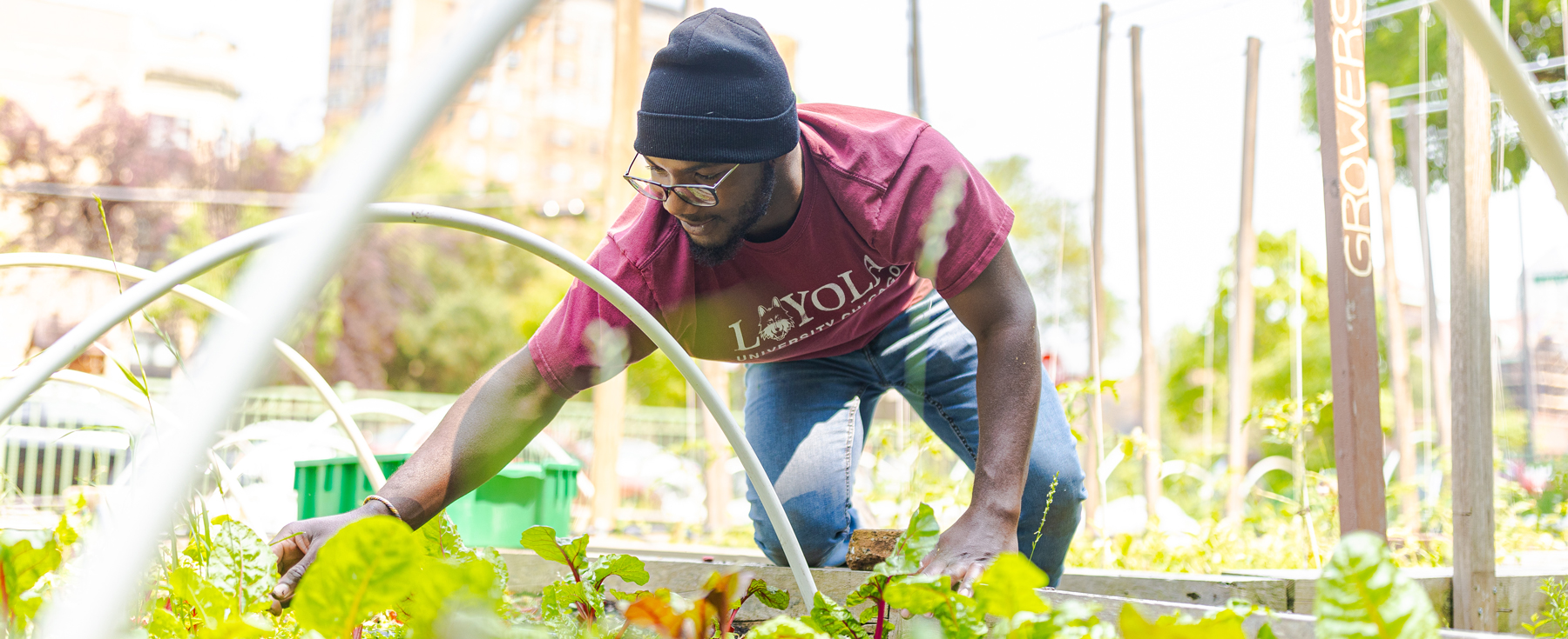 Arrupe Alum at Winthrop Garden