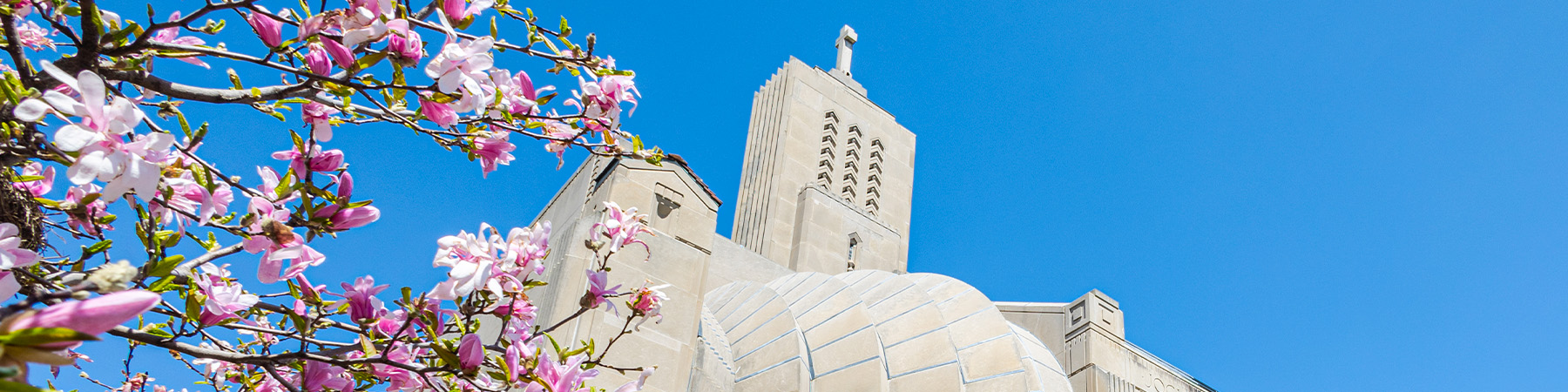 Madonna Delle Strada in the background of blooming flowers