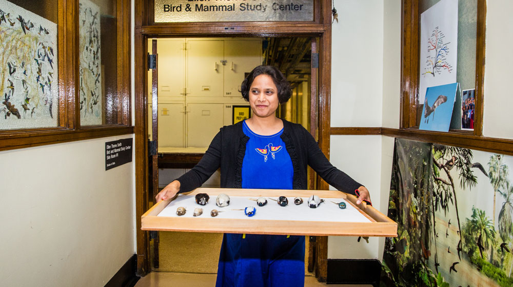 Biology Professor Sushma Reddy discovers new bird species