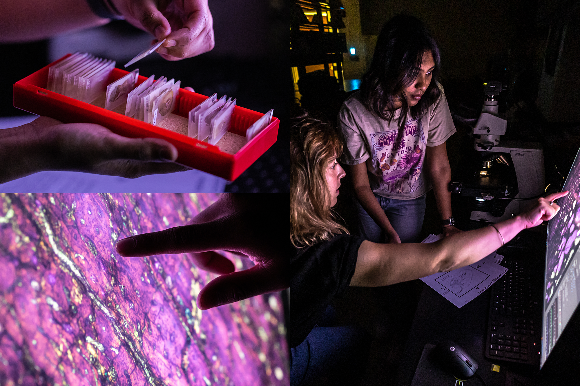 Three photos; Top left, a right hand holds a set of microscope slides and the left holds a single slide; Bottom left, a finger points to a purple, magnified photo of a microscope slide on a computer screen; Right: Whitney points something out to Pranati on the computer screen