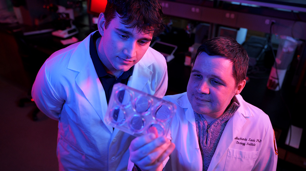 Two individuals wearing lab coats examine a clear multi‑well laboratory plate inside a dimly lit workspace illuminated with colorful overhead lighting. Two individuals wearing lab coats examine a clear multi‑well laboratory plate inside a dimly lit workspace illuminated with colorful overhead lighting.