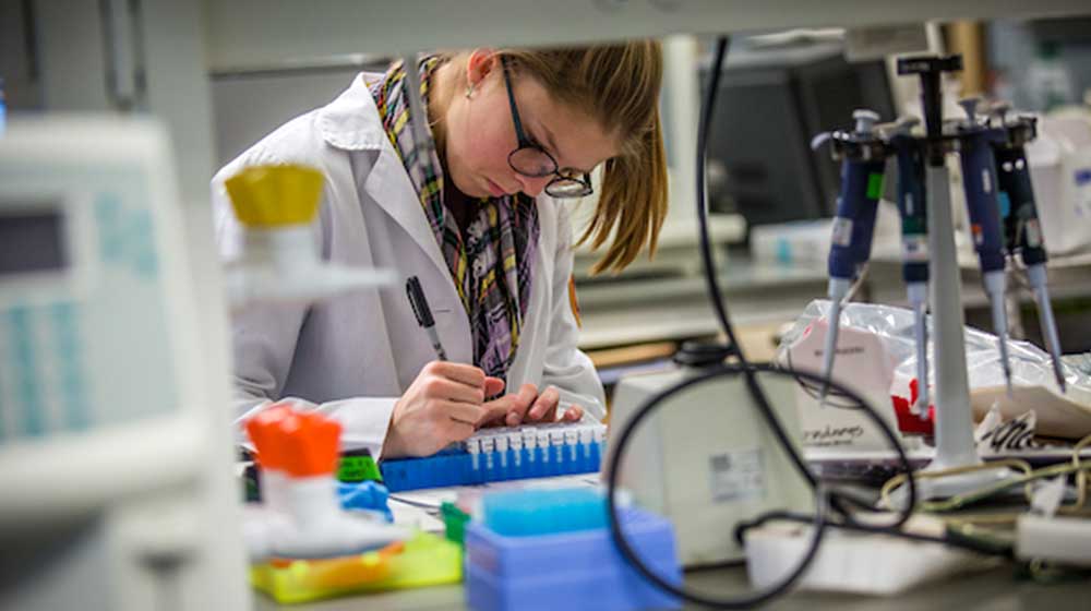 Researcher in a laboratory carefully labels microcentrifuge tubes at a bench surrounded by pipettes, instruments, and scientific supplies nearby. Researcher in a laboratory carefully labels microcentrifuge tubes at a bench surrounded by pipettes, instruments, and scientific supplies nearby.