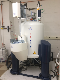 Bruker 500 MHz NMR Ascend