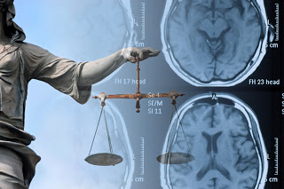Brain Matters: Neuroscience in Criminal Law and Policy Colloquium.