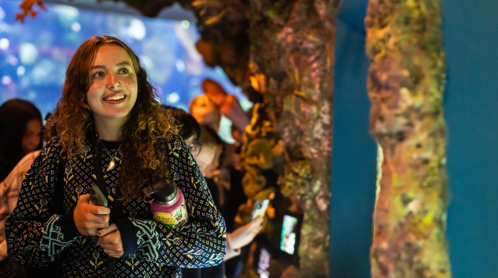 A student observes an exhibit at Shedd Aquarium.