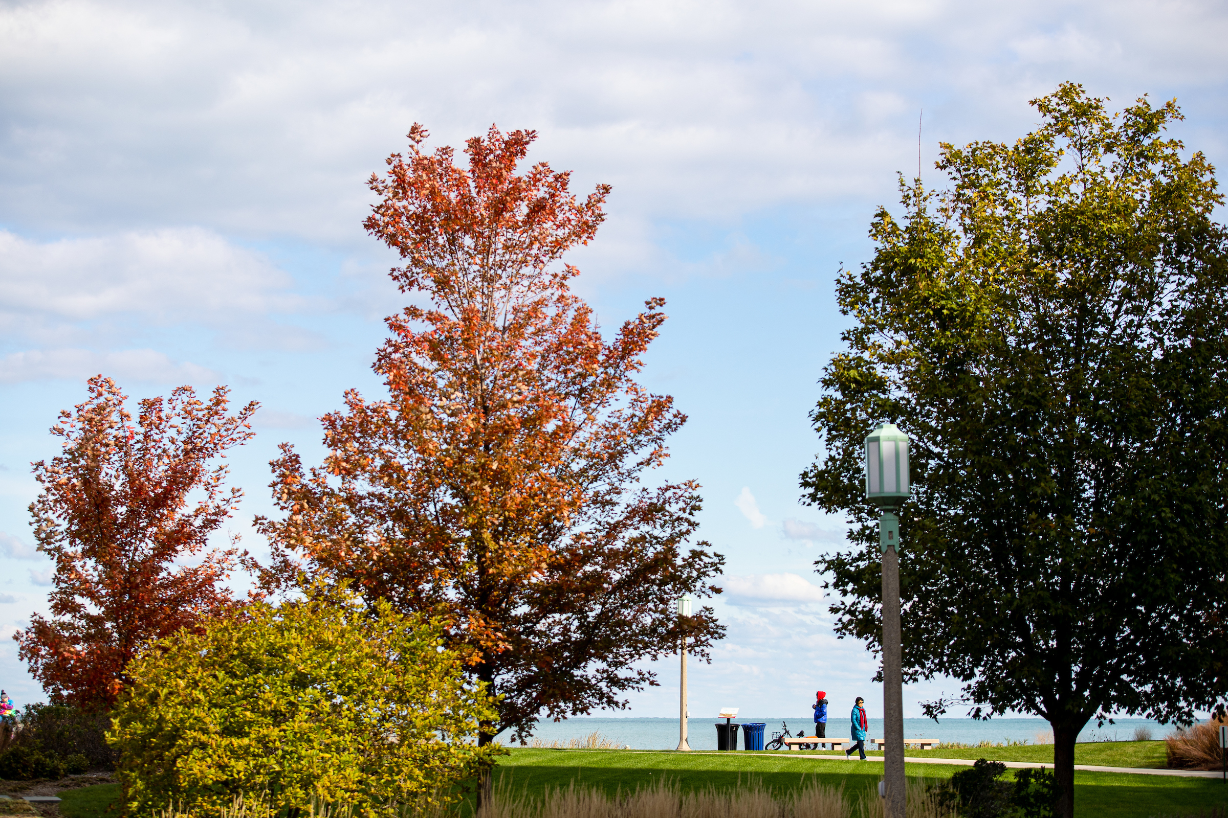 Loyola University Chicago, Lakeshore campus in the fall
