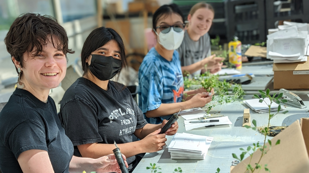 Students at a work station in a greenhouse working. 