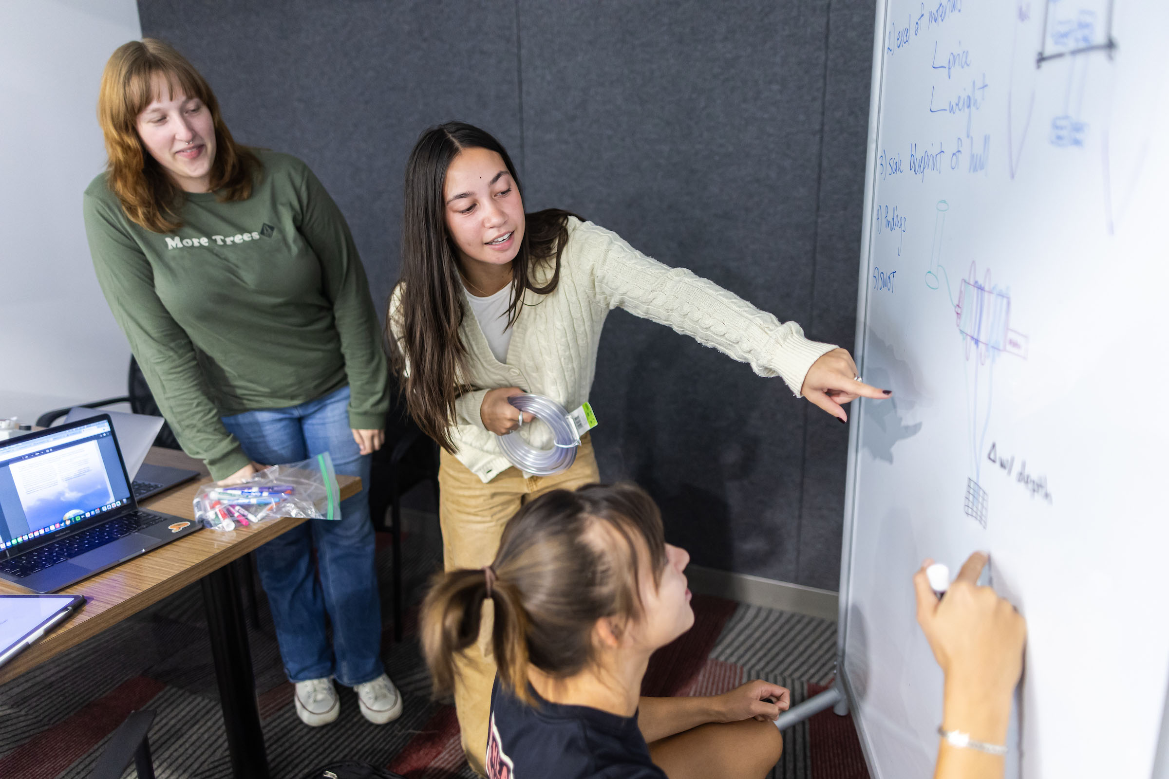 Capstone | Loyola University Chicago