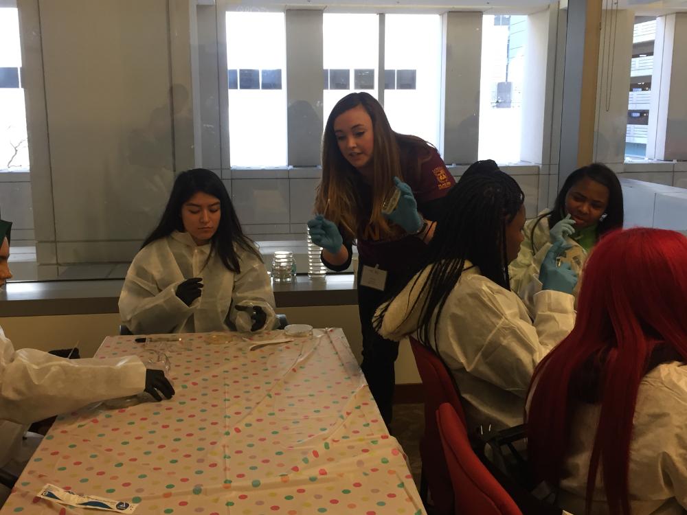 Women in Science group teaches Chicago high schoolers about heart health