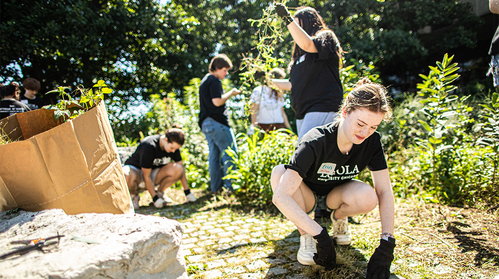 Loyola students clean up a local community garden on an annual Saturday of Service.