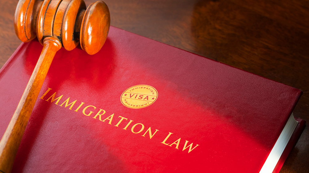 Immigration law practicum