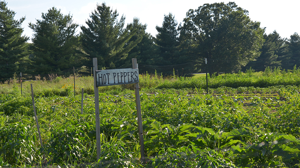 A sign in a farm field that reads 