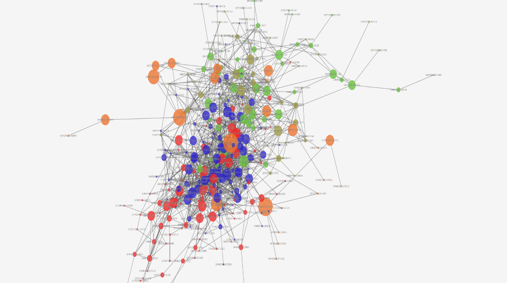 Math Students present Research: Gene-Network Analysis Tool