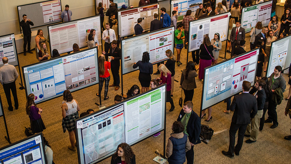 Undergraduate Research Symposium