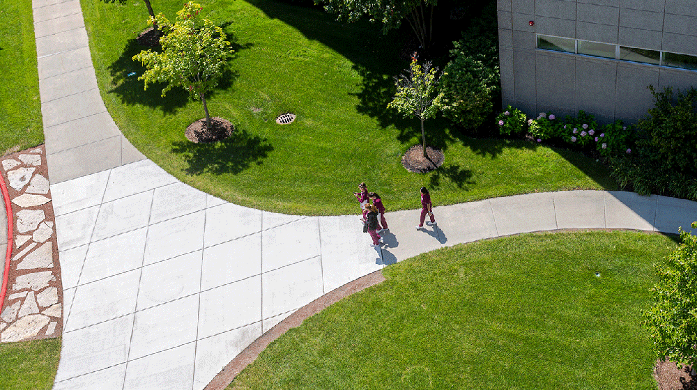 students walk at HSC on the sidewalk with green grass in the background