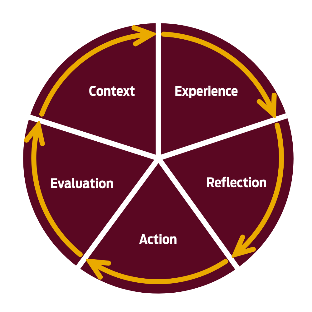 IPP graphic
