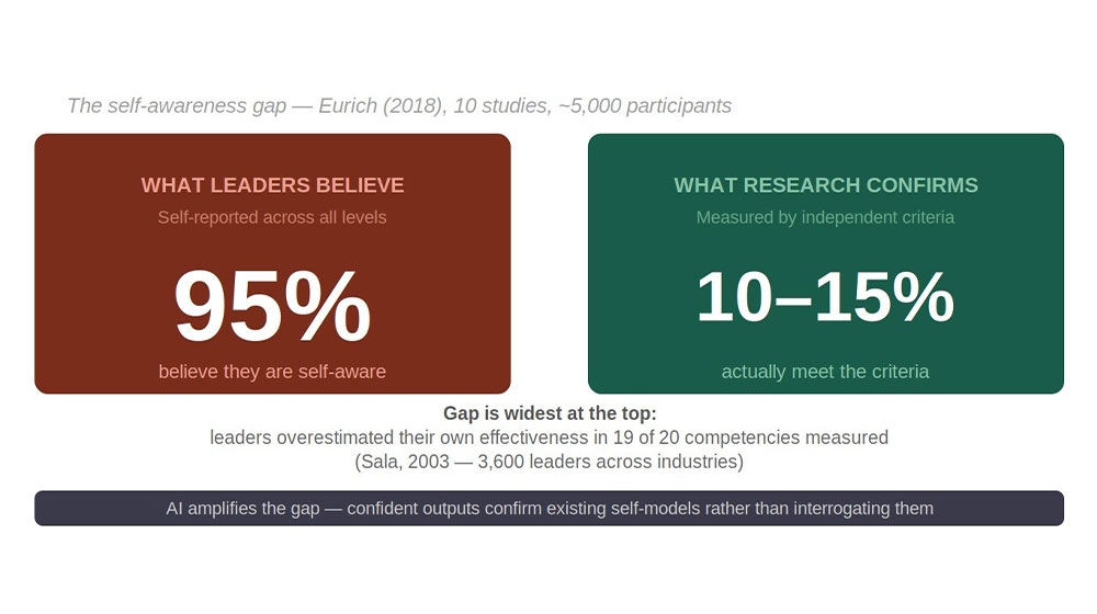 Self-Awareness Gap