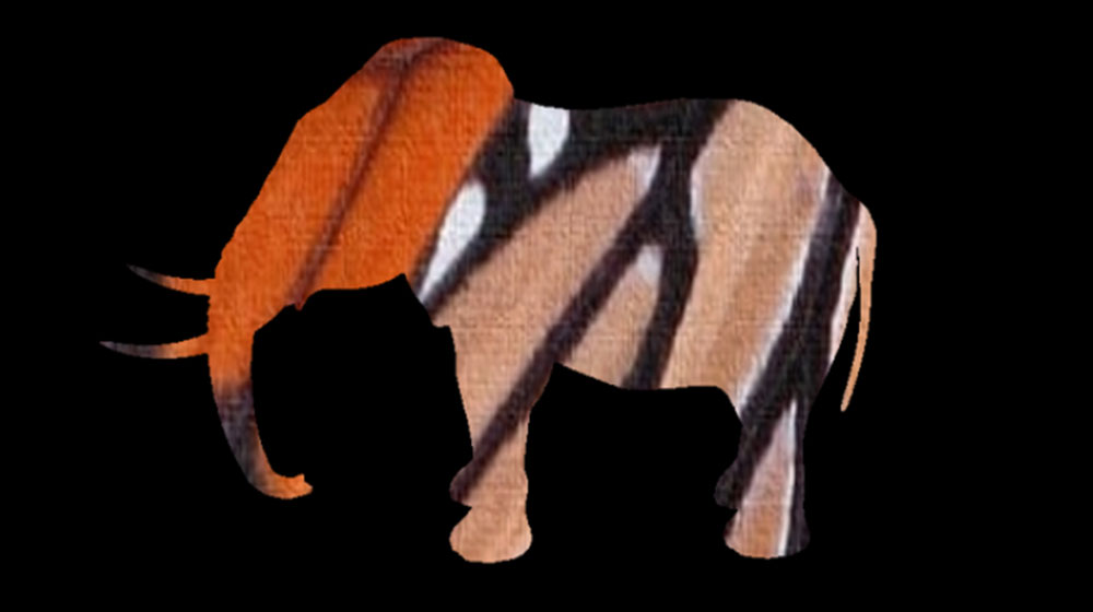 Elephant cutout filled with monarch butterfly wing pattern