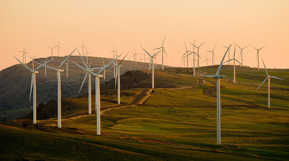 The pros and cons of investing in renewable energy supply chains.
