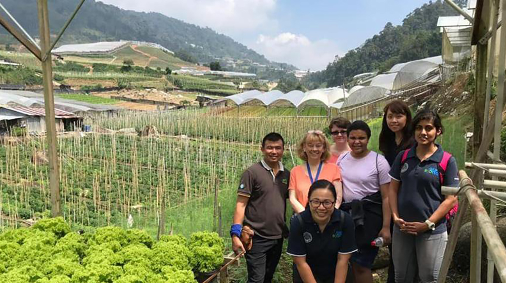 A group of people in front of some crop fields with mountains in the background.