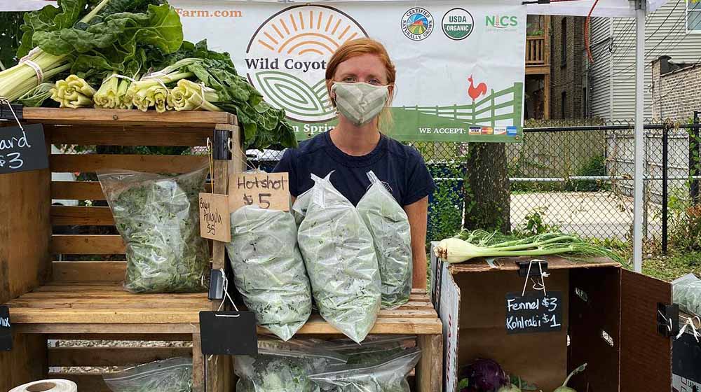 Wild Coyote Farm produce stand at a Chicago farmers market