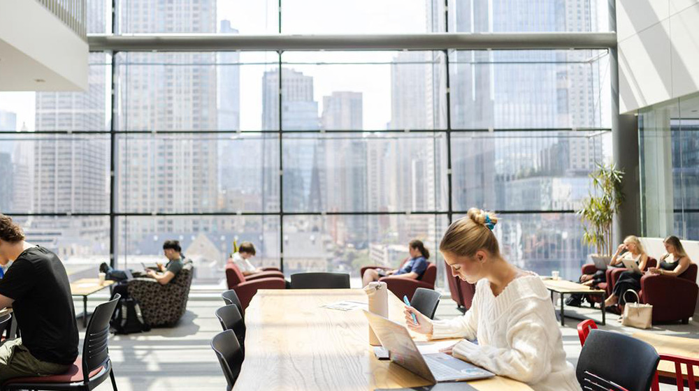 A student studies in the Schreiber Center