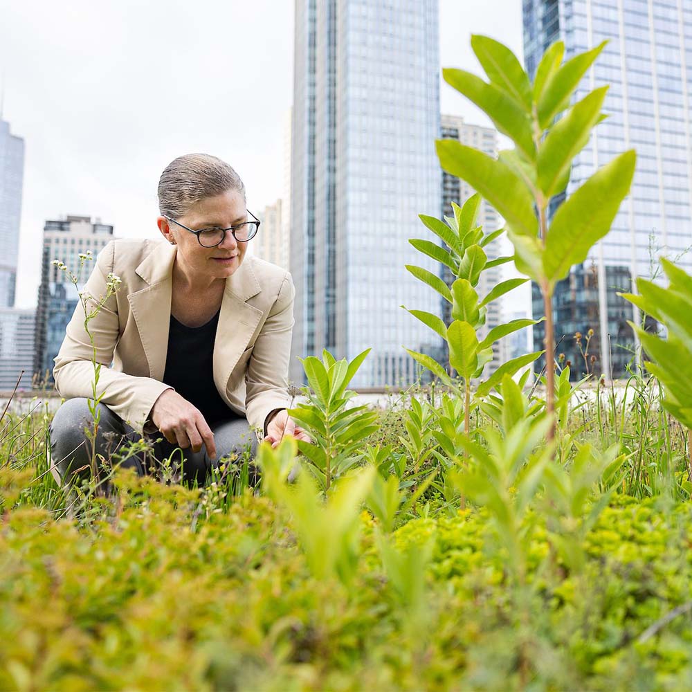 Karen Weigert on top of a green roof on the Water Tower Campus