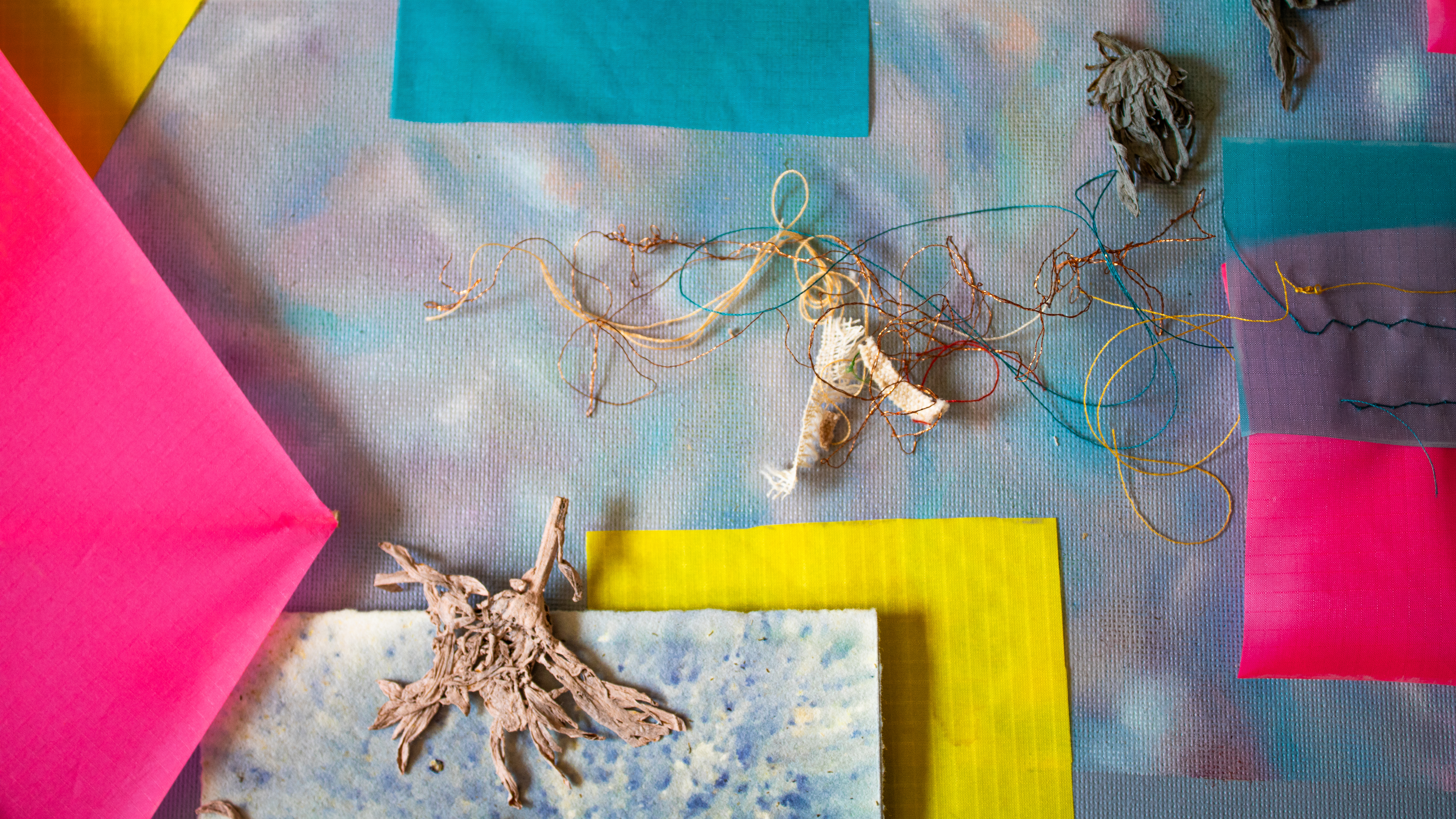 Collaborative mixed media work by Lilly Allan and Catherine Kammerer