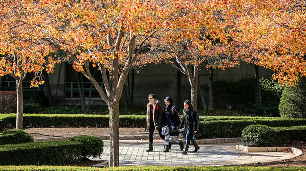 Fall On Campus