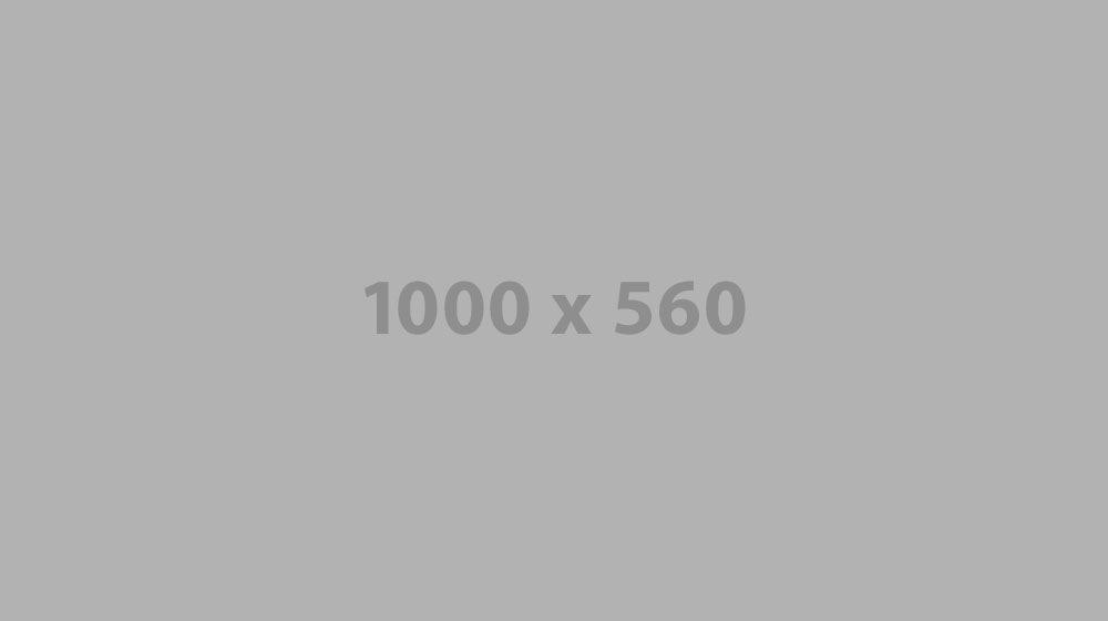 Placeholder Image Placeholder Image