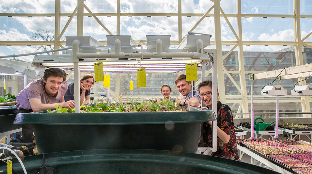 students working in greenhouse