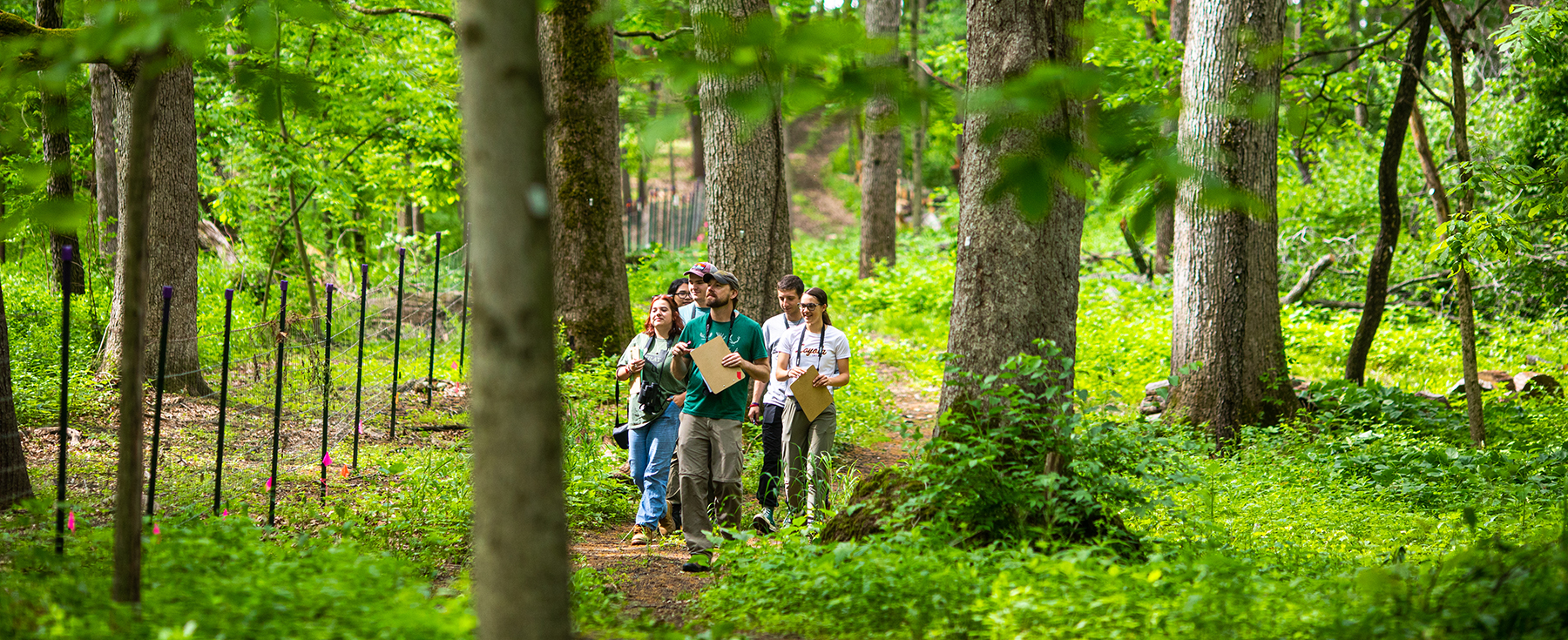 Students observing birds in a wooded area at LUREC