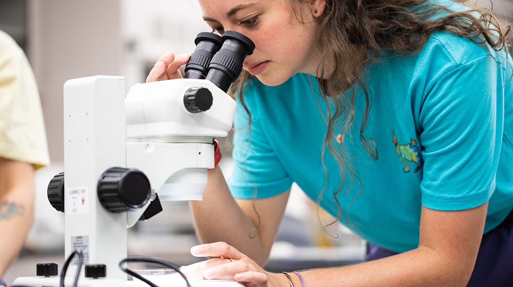 environmental science student working in a lab