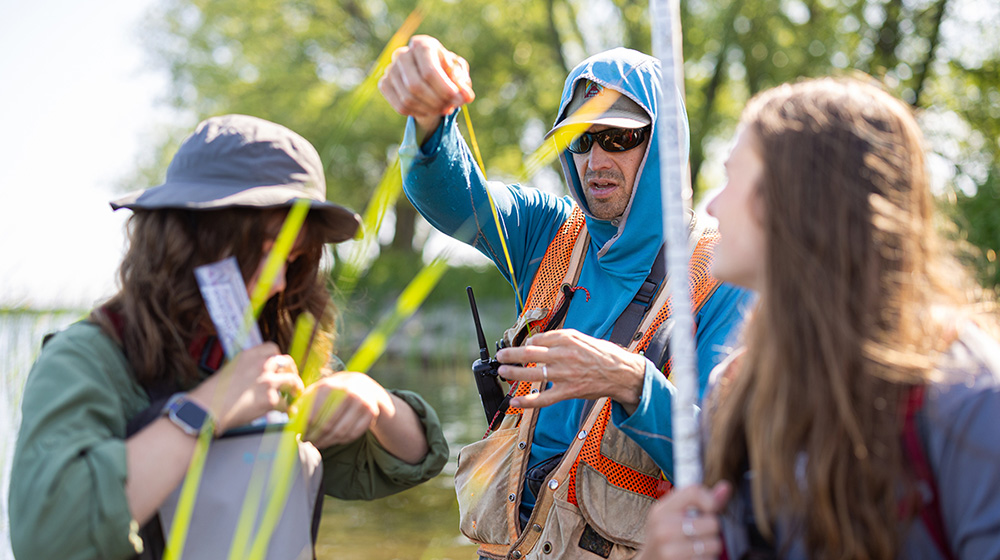 Shane Lishawa and students working in a wetland