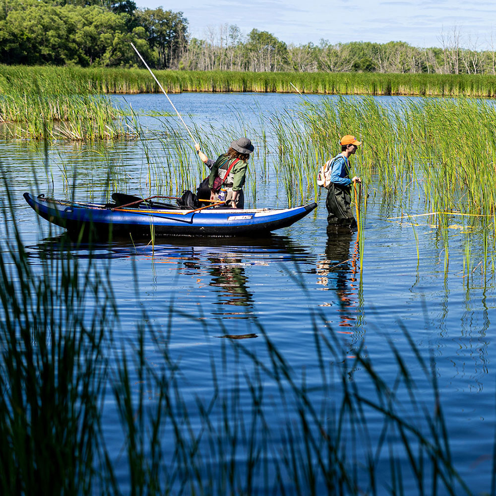 students in waders in a wetland pulling a kayak