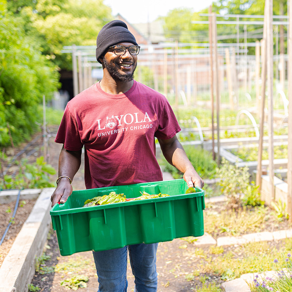 Urban ag student team leader carrying a crate of vegetables
