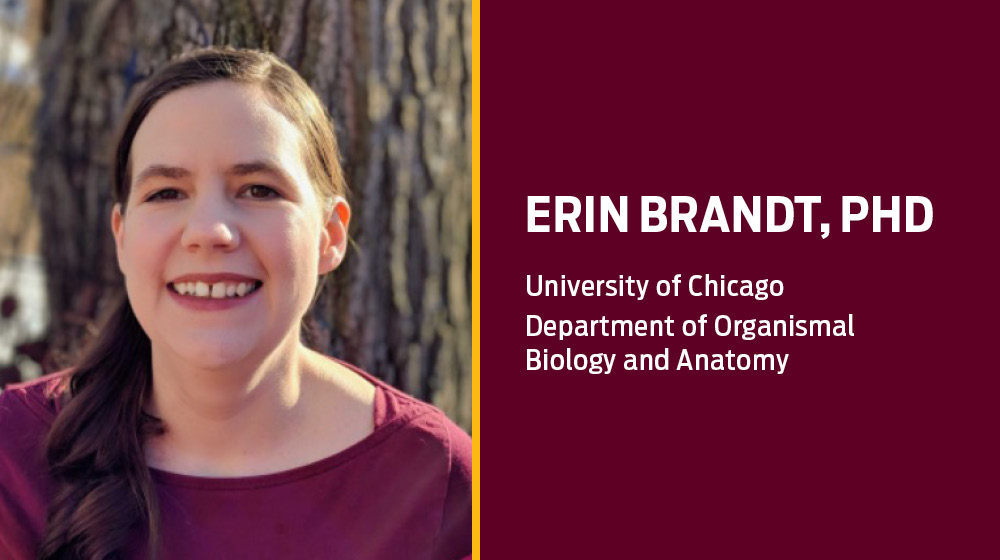 Erin Brandt PhD Erin Brandt PhD