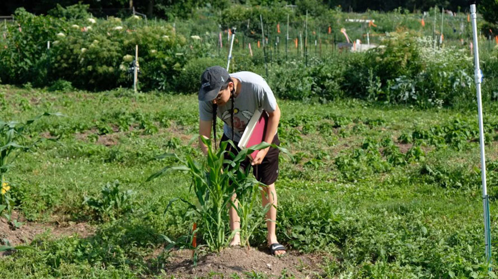 Daniel Hayden working in a field